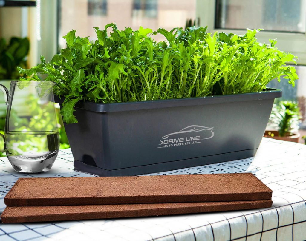 Nose Cut Drive Line Auto Parts